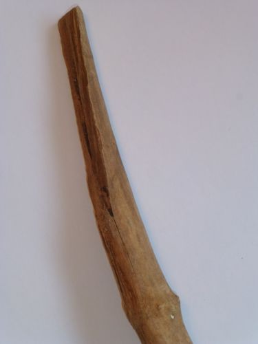 Grabstock